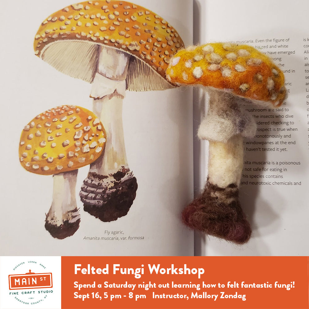 Workshop: Fantastic Felted Fungi with Mallory Zondag